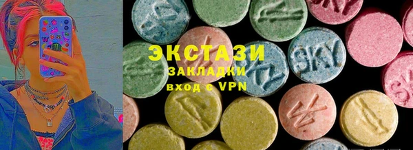 ECSTASY Богородск