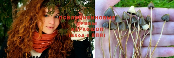 ECSTASY Богородск