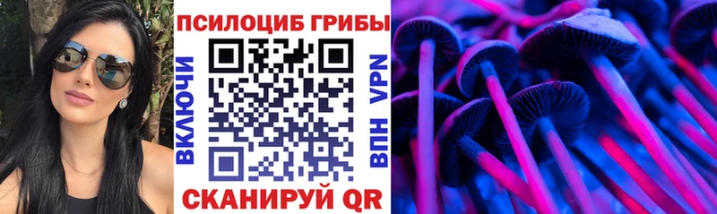 Псилоцибиновые грибы Magic Shrooms  Новый Уренгой 